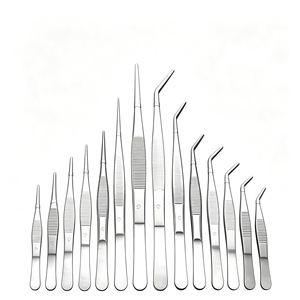 Laboratory 304 Stainless Steel Forceps